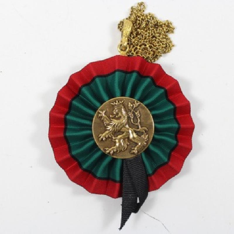 Front view of Multiple Colors Necklace