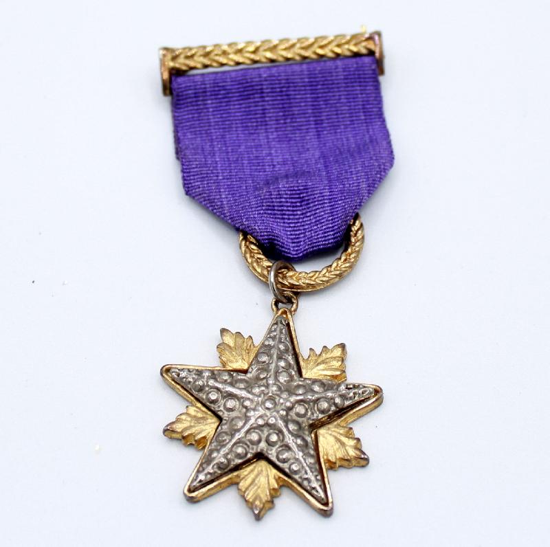 Front view of Purple (cardinal) Brooch